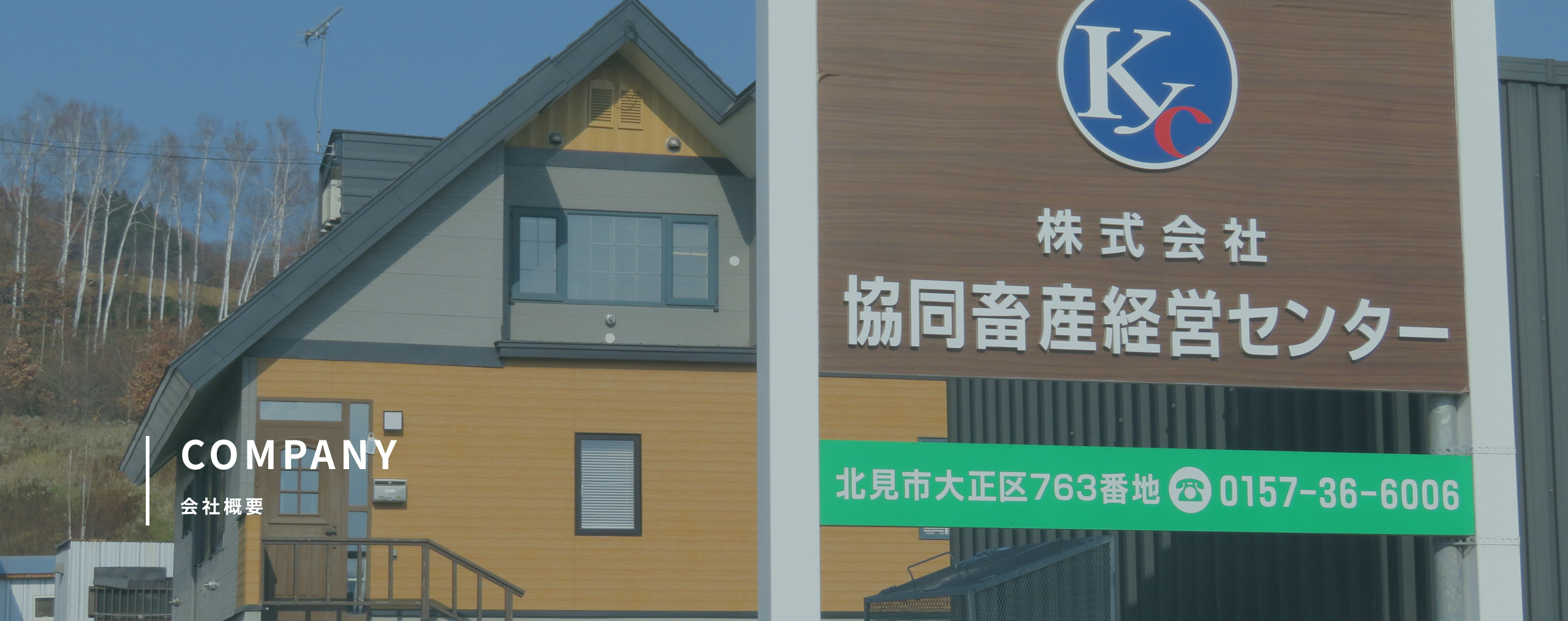 COMPANY 会社概要