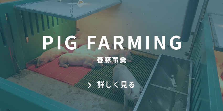 PIG FARMING 養豚事業 詳しく見る　ボタン