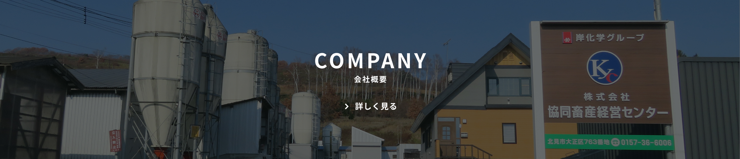 COMPANY 会社概要 詳しく見る　ボタン