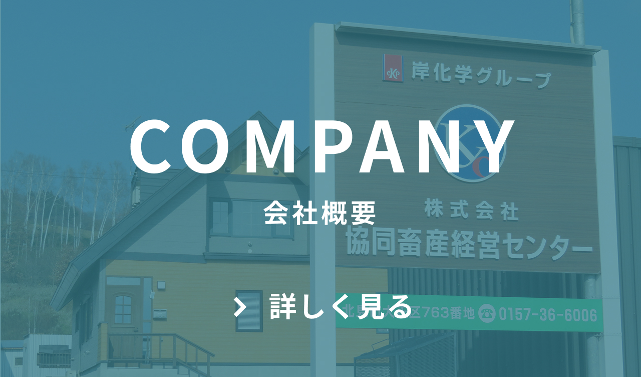 SCOMPANY 会社概要 詳しく見る　ボタン