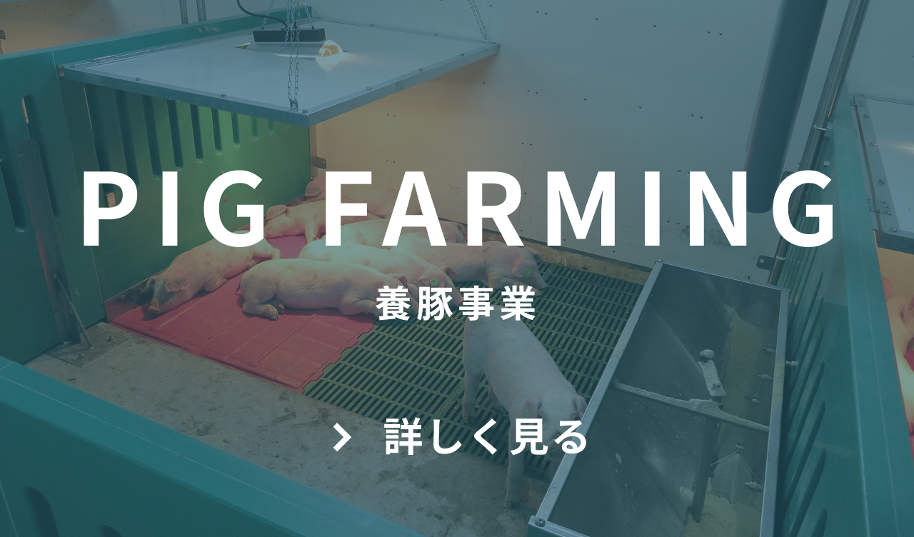 PIG FARMING 養豚事業 詳しく見る　ボタン