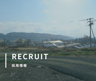 RECRUIT 採用情報